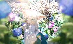 Featured image of post Hello, world!　你好，世界！